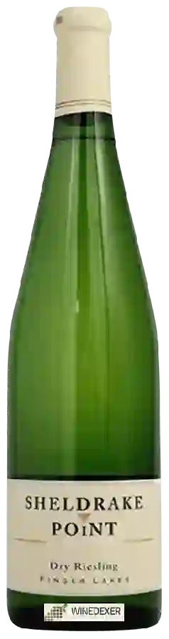 Winery Sheldrake Point - Dry Riesling