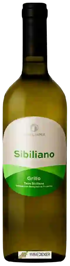 Winery Sibiliana - Sibiliano Grillo Winery Sibiliana - Sibiliano Grillo