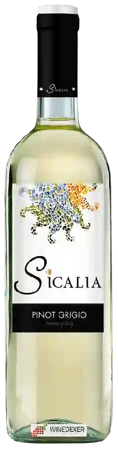Winery Sicalia - Pinot Grigio Winery Sicalia - Pinot Grigio