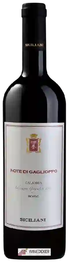 Winery Siciliani - Note di Gaglioppo Rosso