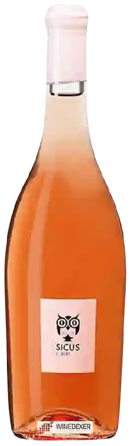 Winery Sicus - C. Mari