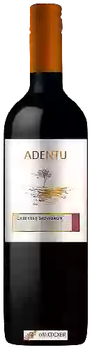 Winery Siegel - Adentu Cabernet Sauvignon