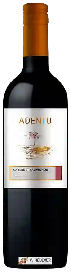 Winery Siegel - Adentu Cabernet Sauvignon