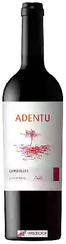 Winery Siegel - Adentu Carmenère