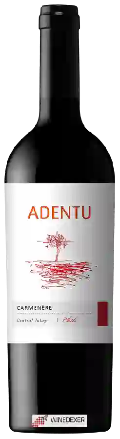 Winery Siegel - Adentu Carmenère Winery Siegel - Adentu Carmenère