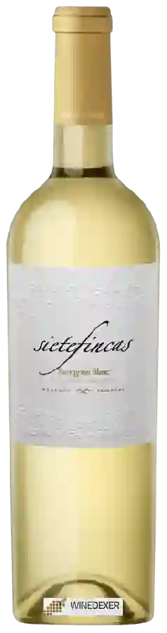 Winery Siete Fincas - Sauvignon Blanc