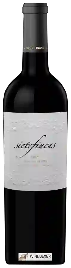 Winery Siete Fincas - Syrah