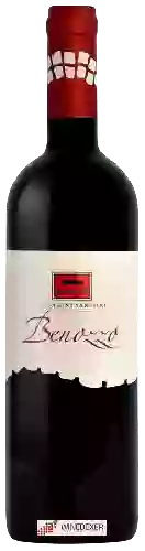Winery SIGNÆ - Benozzo