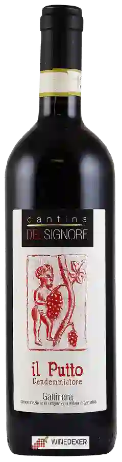 Winery Cantina Delsignore - Il Putto Vendemmiatore Gattinara Winery Cantina Delsignore - Il Putto Vendemmiatore Gattinara