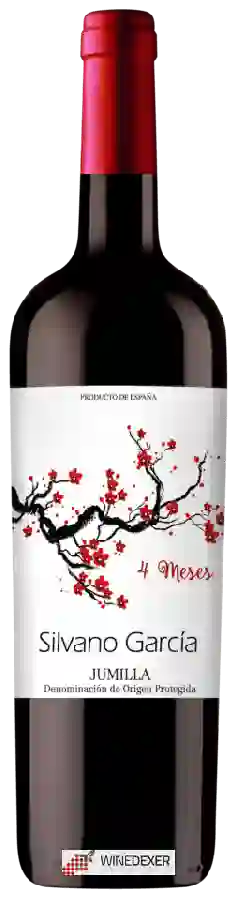 Winery Silvano Garcia - 4 Meses