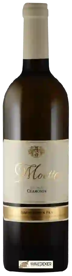 Winery Simon Maye & Fils - Moette