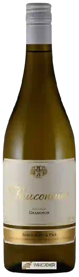 Winery Simon Maye & Fils - Trémazières Winery Simon Maye & Fils - Trémazières