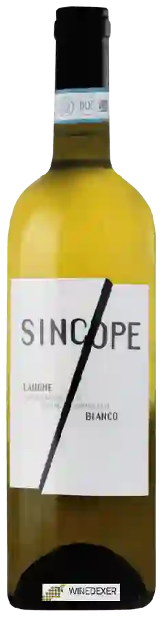 Winery Sincope - Langhe Bianco Winery Sincope - Langhe Bianco