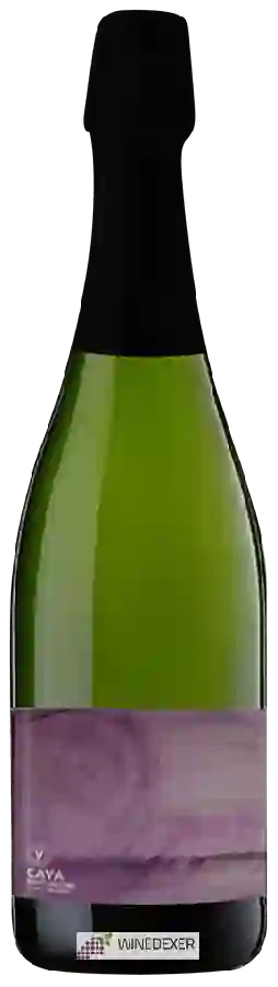 Winery Vinyes Singulars - Cava Brut Nature Winery Vinyes Singulars - Cava Brut Nature