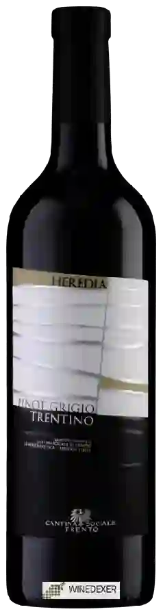 Winery Cantina Sociale Trento - Heredia Pinot Grigio