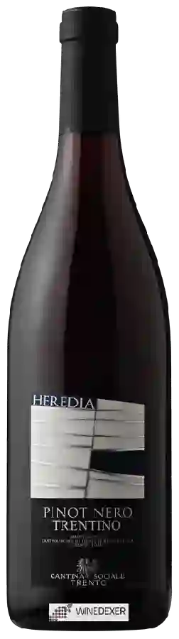 Winery Cantina Sociale Trento - Heredia Pinot Nero Winery Cantina Sociale Trento - Heredia Pinot Nero