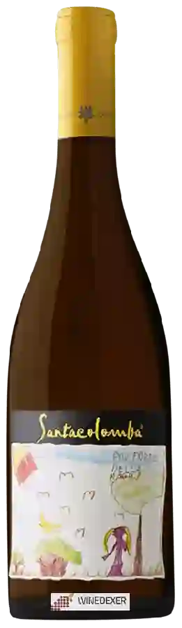 Winery Cantina Sociale Trento - Santacolomba