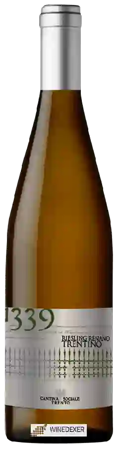 Winery Cantina Sociale Trento - 1339 Riesling Renano