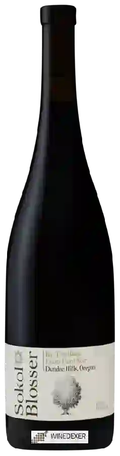 Winery Sokol Blosser - Big Tree Block Pinot Noir Winery Sokol Blosser - Big Tree Block Pinot Noir