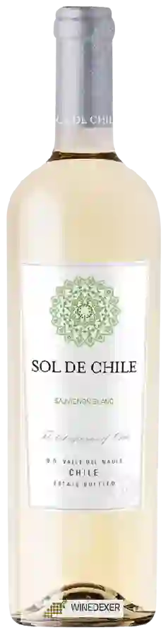 Winery Sol de Chile - Sauvignon Blanc Winery Sol de Chile - Sauvignon Blanc