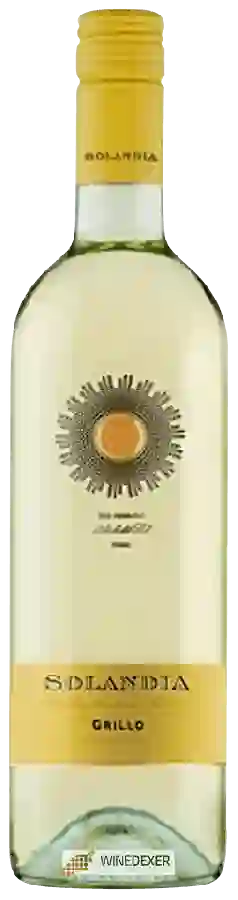 Winery Solandia - Grillo Winery Solandia - Grillo