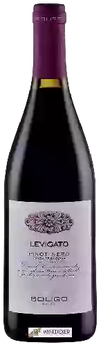Winery Soligo - Levigato Pinot Nero