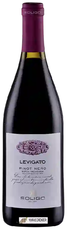 Winery Soligo - Levigato Pinot Nero Winery Soligo - Levigato Pinot Nero