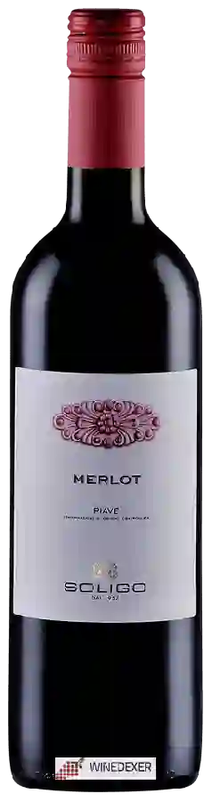 Winery Soligo - Merlot
