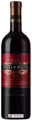 Winery Tenuta di Somaro - Puglia Aglianico - Primitivo