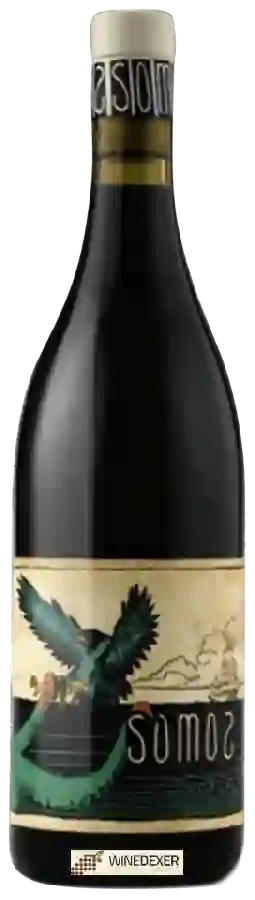 Winery Somos - Tintito