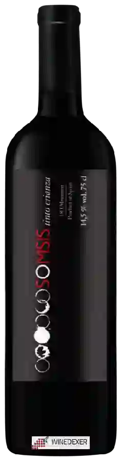 Winery Somsis - Tinto Crianza Winery Somsis - Tinto Crianza