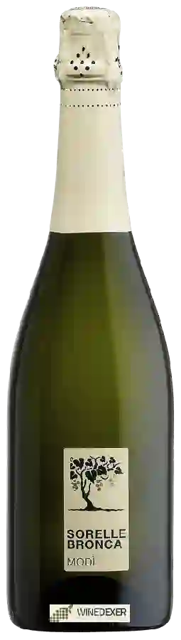 Winery Sorelle Bronca - Modì