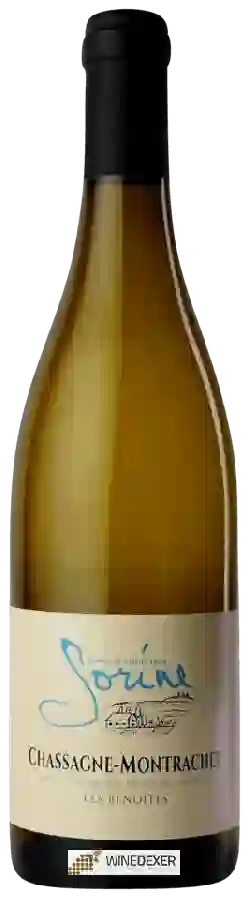 Winery Sorine - Chassagne-Montrachet 'Les Benoites'