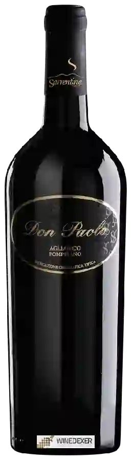 Winery Sorrentino - Don Paolo Aglianico