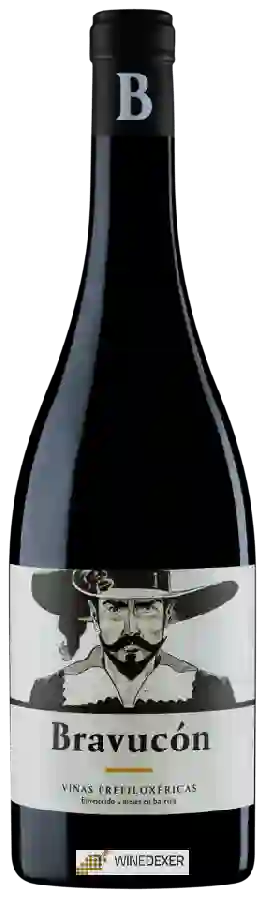 Winery Sotero Pintado - Bravucón Winery Sotero Pintado - Bravucón