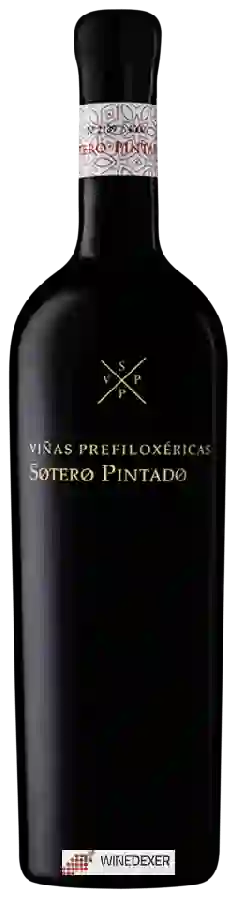 Winery Sotero Pintado - Viñas Prefiloxéricas Winery Sotero Pintado - Viñas Prefiloxéricas