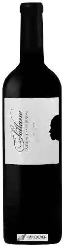 Winery Sottano - Cabernet Sauvignon Classico