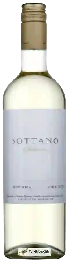 Winery Sottano - Selección Torrontes Winery Sottano - Selección Torrontes
