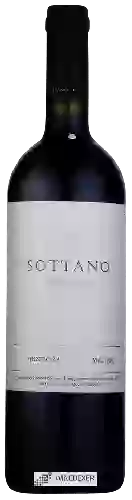 Winery Sottano - 3S Selección Malbec