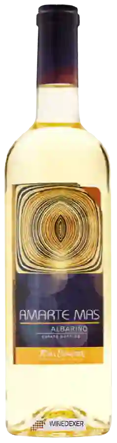 Winery Spanish Vines - Amarte Mas Albariño Winery Spanish Vines - Amarte Mas Albariño