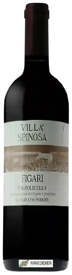 Winery Spinosa - Figari Valpolicella Classico Superiore