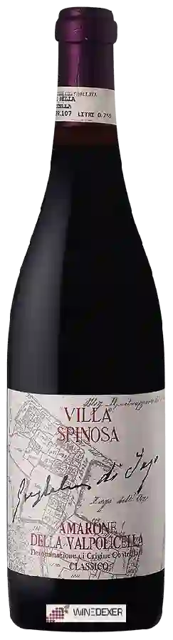 Winery Spinosa - Guglielmi di Jago Amarone della Valpolicella Classico