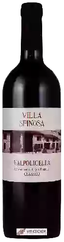 Winery Spinosa - Valpolicella Classico