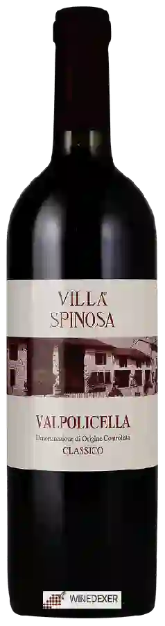 Winery Spinosa - Valpolicella Classico