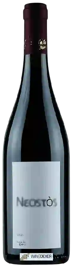 Winery Spiriti Ebbri - Neostòs Rosso Winery Spiriti Ebbri - Neostòs Rosso