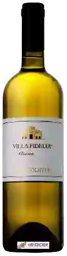 Winery Sportoletti - Villa Fidelia Bianco