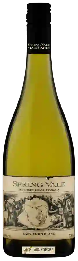 Winery Spring Vale - Sauvignon Blanc Winery Spring Vale - Sauvignon Blanc