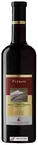 Winery St Jodern - Pedum