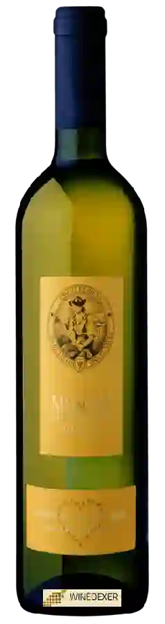 Cave St-Pierre - Réserve des Administrateurs Muscat