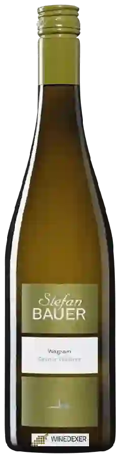 Winery Stefan Bauer - Grüner Veltliner Winery Stefan Bauer - Grüner Veltliner